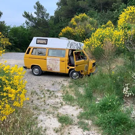 @gatetothewild Oda ve Kahvaltı *