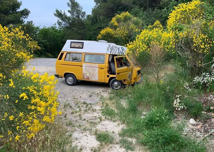 @gatetothewild B&B *