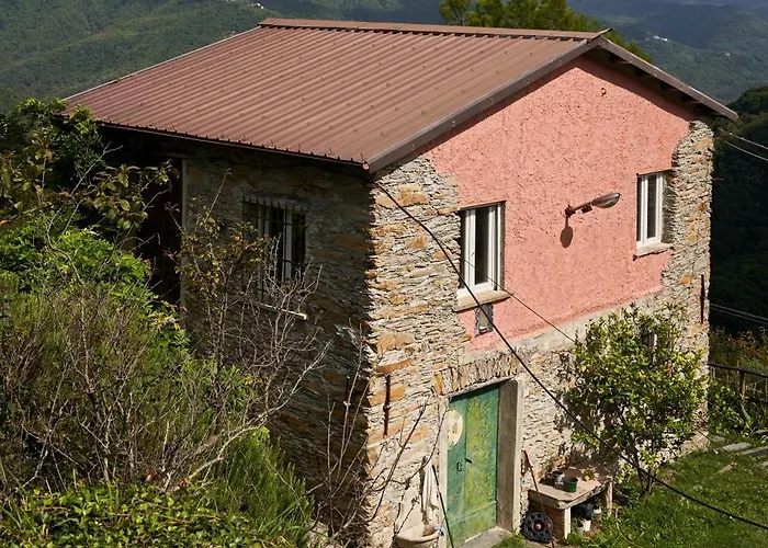 B&B @gatetothewild *