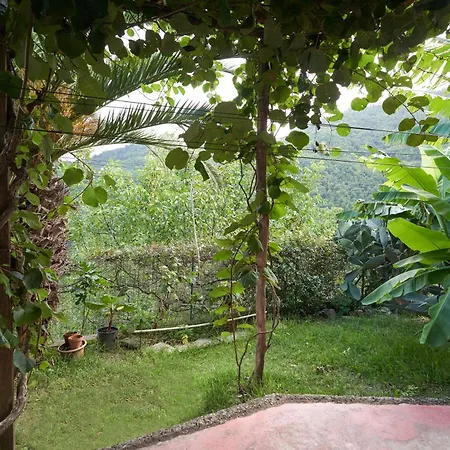 Bed & Breakfast @gatetothewild