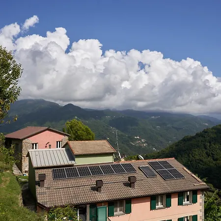 @gatetothewild * Coreglia Ligure